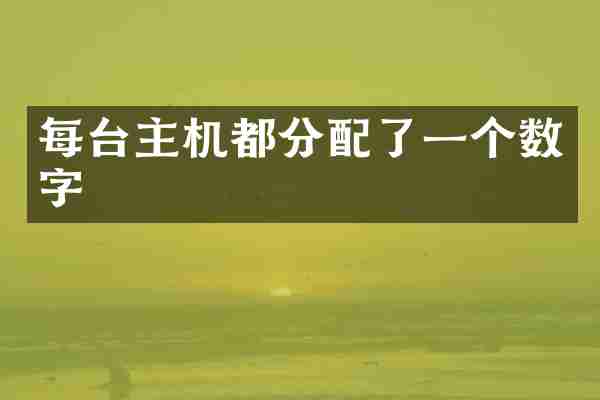 每台主机都分配了一个数字