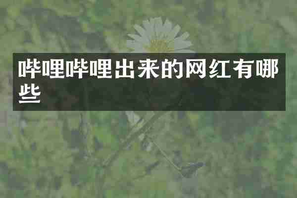 哔哩哔哩出来的网红有哪些