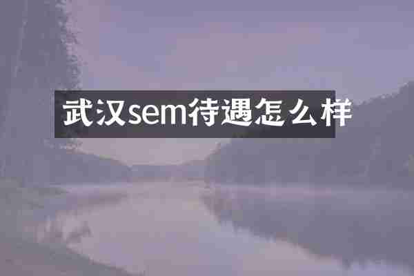 武汉sem待遇怎么样