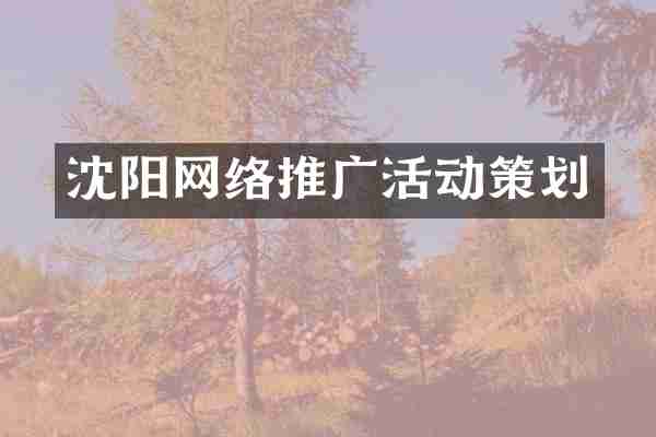 沈阳网络推广活动策划