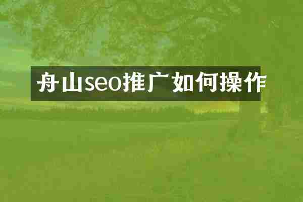 舟山seo推广如何操作