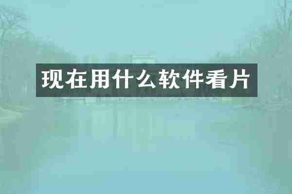 现在用什么软件看片