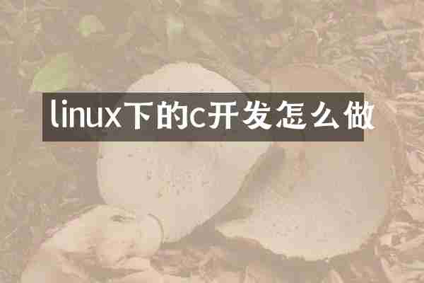 linux下的c开发怎么做