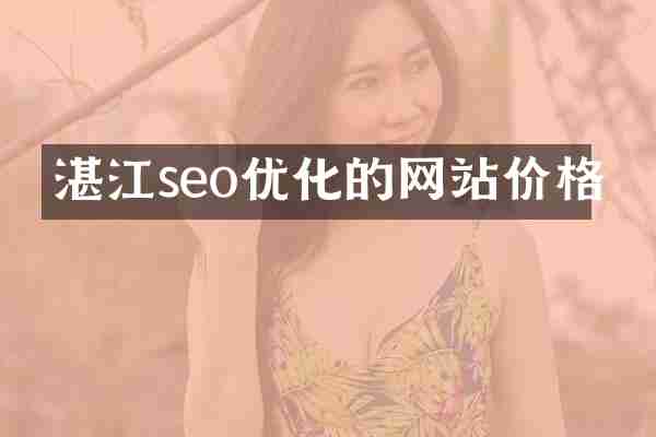湛江seo优化的网站价格