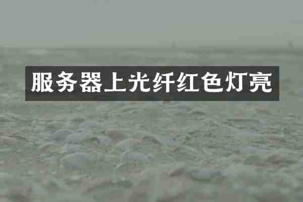 服务器上光纤红色灯亮