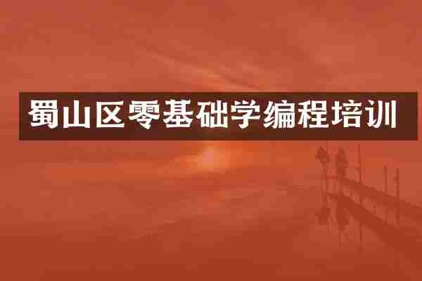蜀山区零基础学编程培训