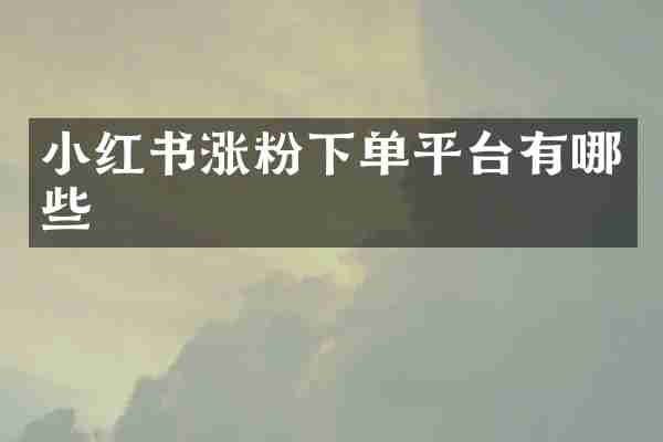 小红书涨粉下单平台有哪些