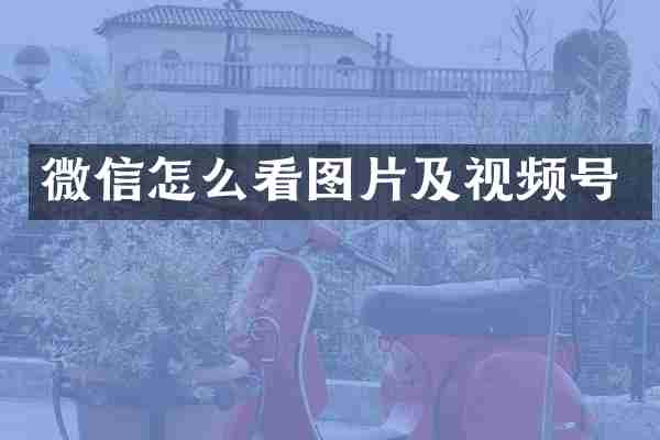 微信怎么看图片及视频号