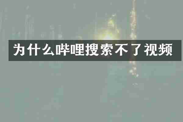 为什么哔哩搜索不了视频