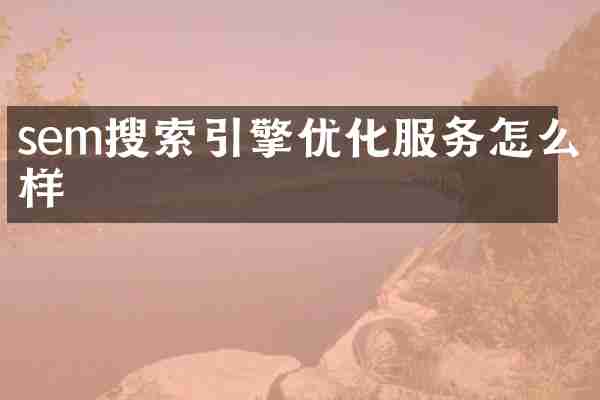 sem搜索引擎优化服务怎么样