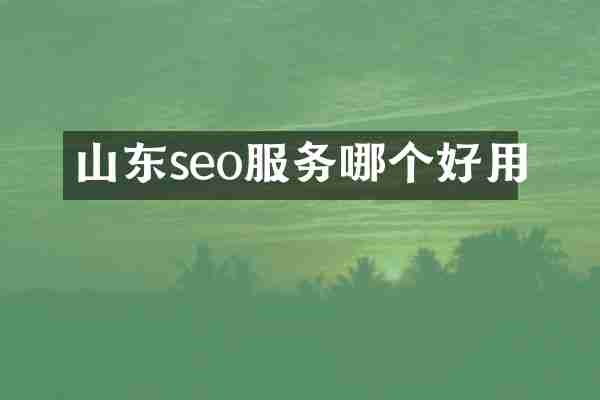 山东seo服务哪个好用