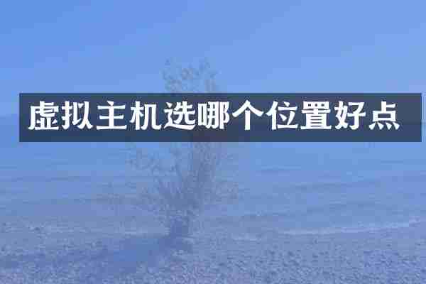 虚拟主机选哪个位置好点
