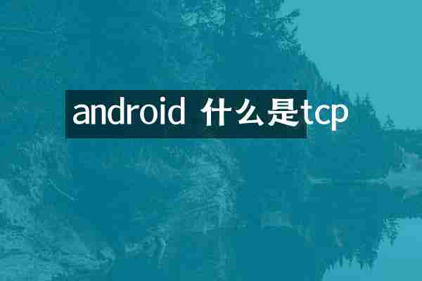 android 什么是tcp