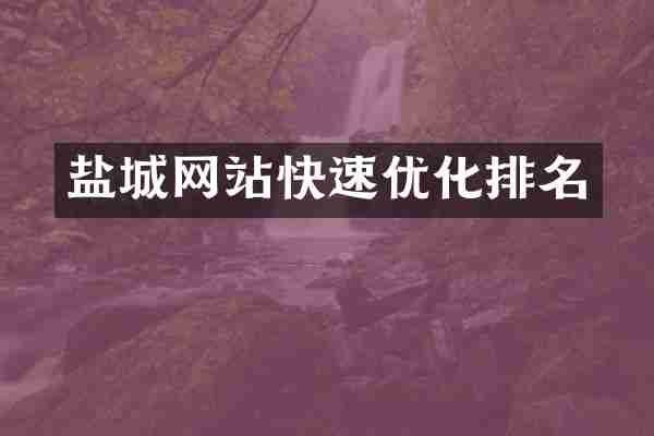 盐城网站快速优化排名