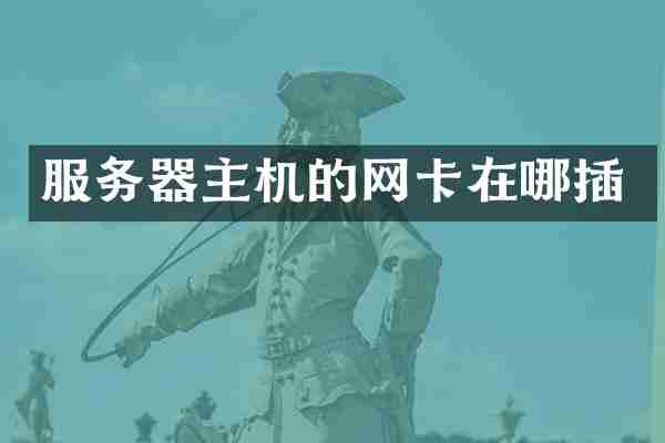 服务器主机的网卡在哪插