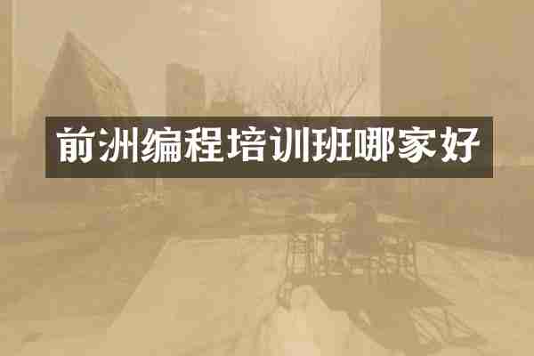 前洲编程培训班哪家好
