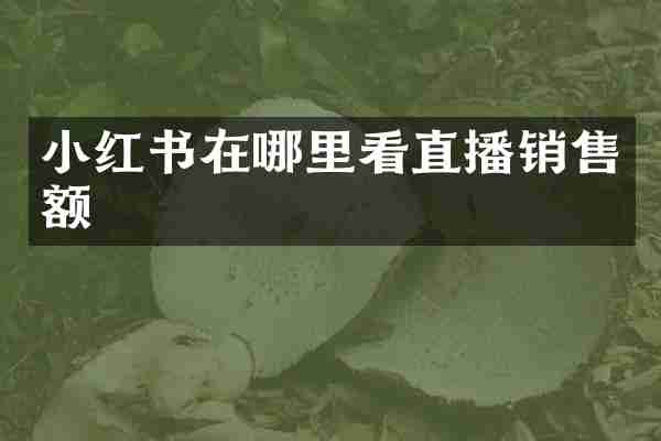 小红书在哪里看直播销售额