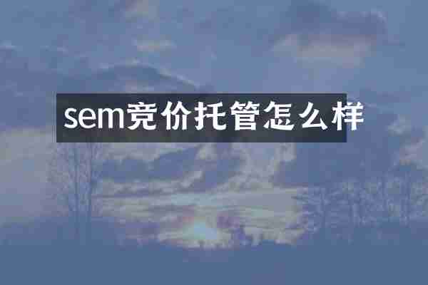 sem竞价托管怎么样