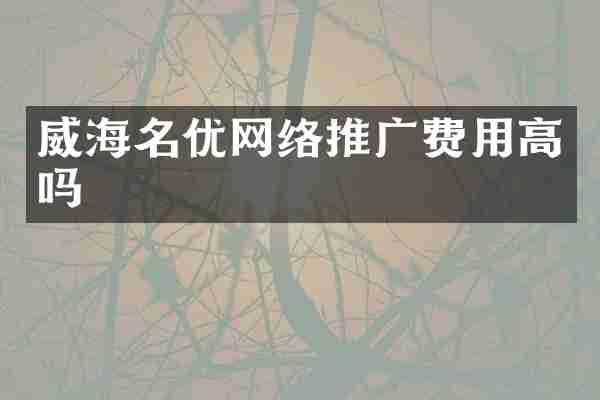 威海名优网络推广费用高吗