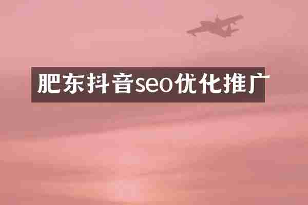 肥东抖音seo优化推广
