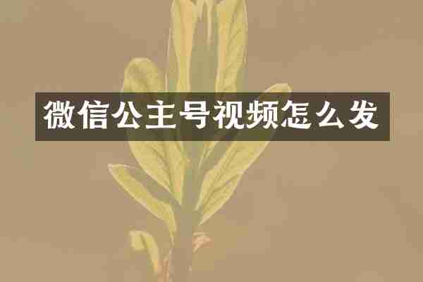 微信公主号视频怎么发