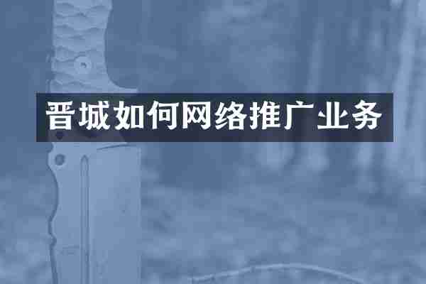 晋城如何网络推广业务