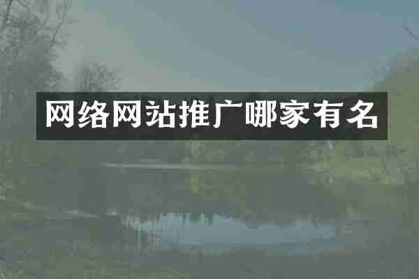 网络网站推广哪家有名