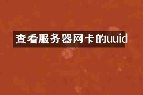 查看服务器网卡的uuid