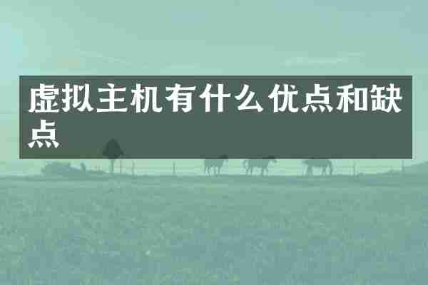 虚拟主机有什么优点和缺点