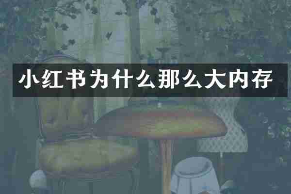 小红书为什么那么大内存