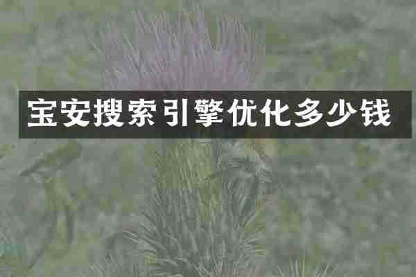 宝安搜索引擎优化多少钱