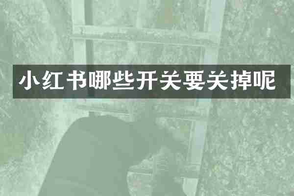 小红书哪些开关要关掉呢