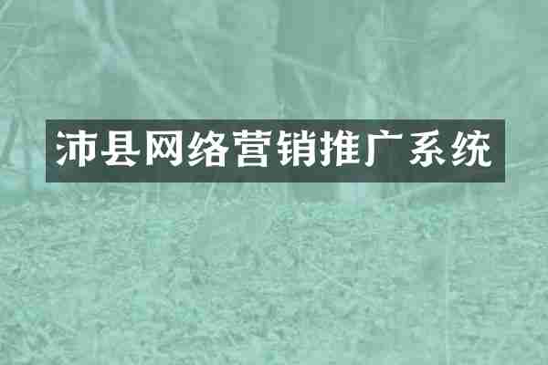 沛县网络营销推广系统
