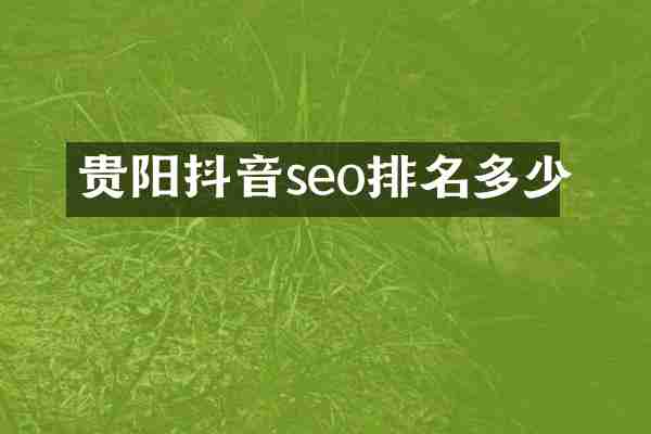 贵阳抖音seo排名多少