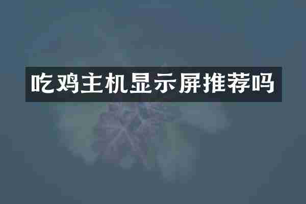 吃鸡主机显示屏推荐吗
