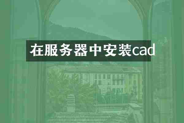 在服务器中安装cad