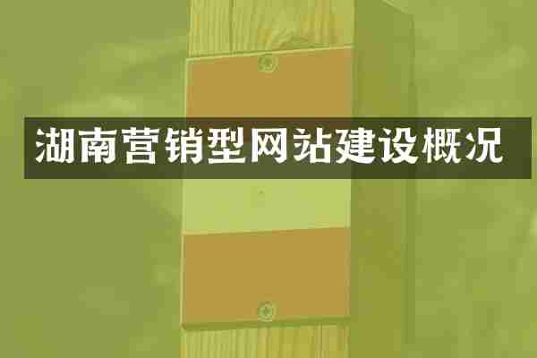 湖南营销型网站建设概况