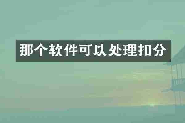 那个软件可以处理扣分