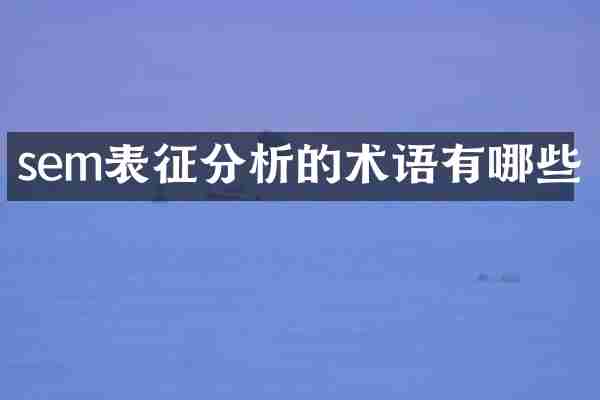 sem表征分析的术语有哪些