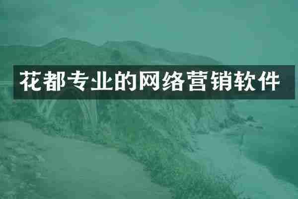 花都专业的网络营销软件