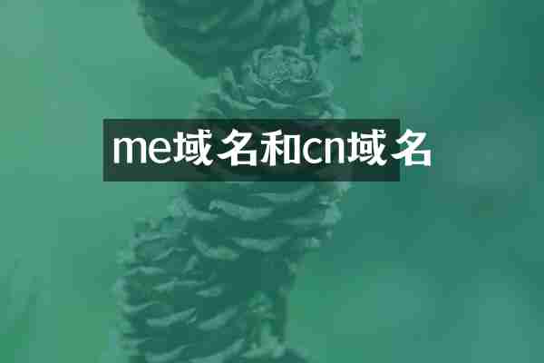 me域名和cn域名