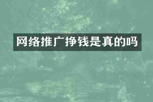 网络推广挣钱是真的吗