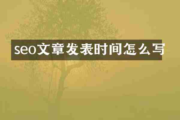 seo文章发表时间怎么写