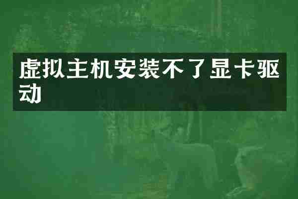 虚拟主机安装不了显卡驱动