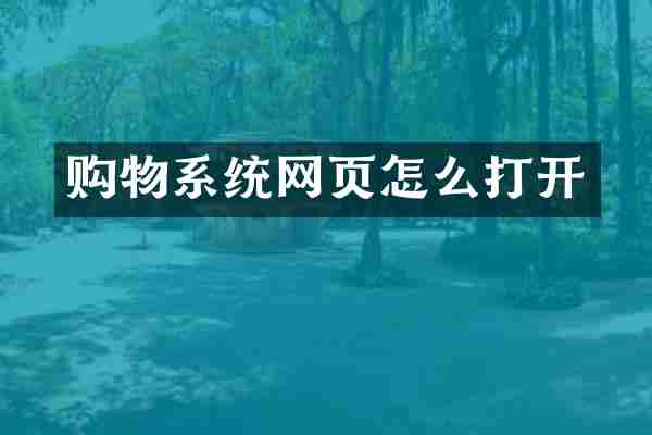 购物系统网页怎么打开