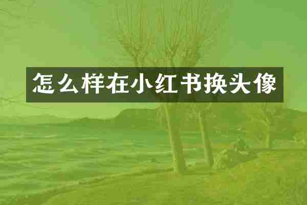 怎么样在小红书换头像