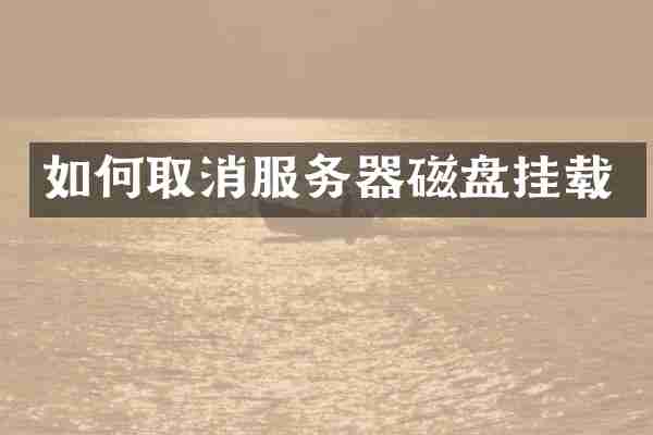 如何取消服务器磁盘挂载