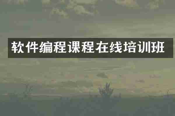 软件编程课程在线培训班