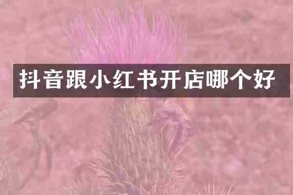 抖音跟小红书开店哪个好