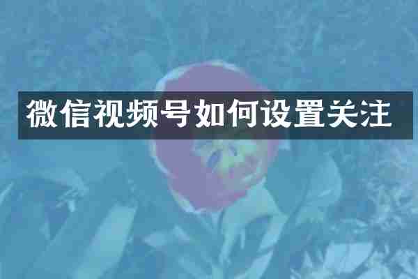 微信视频号如何设置关注